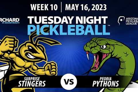 AZ PBL: Surprise Stingers vs Peoria Pythons  (Tue May 16, Season 1, Week 10)