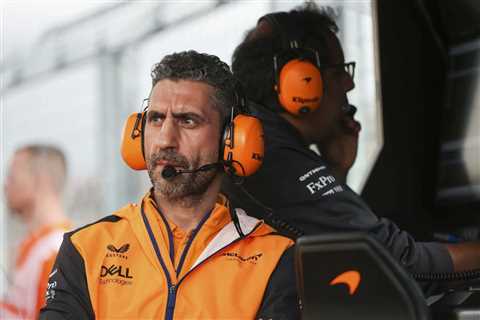 Why McLaren promoted Andrea Stella to their F1 Team Principal