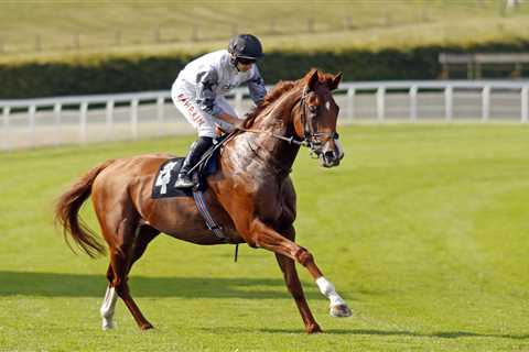 Tyson Fury to make unexpected sporting return to Royal Ascot tomorrow after long time out of action