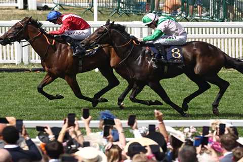 Freak 80-1 outsider makes Royal Ascot history as biggest price winner EVER in race