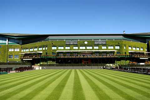 Wimbledon star left homeowner ‘beyond angry’ after leaving fly infestation and turning bathroom..