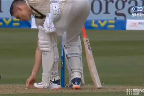 Australia cricket star’s ‘gross act’ during Ashes Test against England caught on camera leaving..