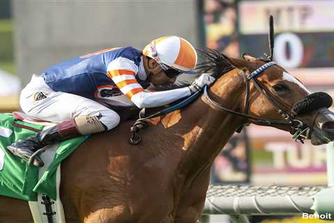 Elm Drive, Eda Among Nine Contesting Holiday Renewal Of Great Lady M. At Los Alamitos – Horse..