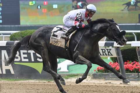Trainer Cook Savoring First Career Graded Stakes Victory With Nerud Winner Three Technique – Horse..