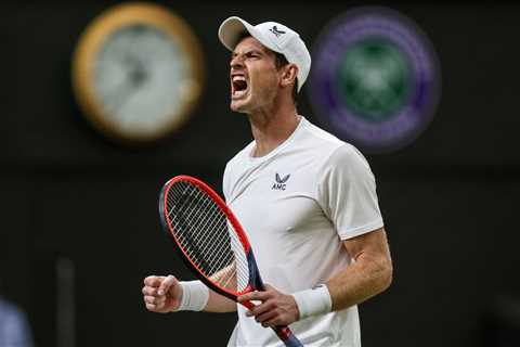 What does AMC stand for on Andy Murray’s kit at Wimbledon?