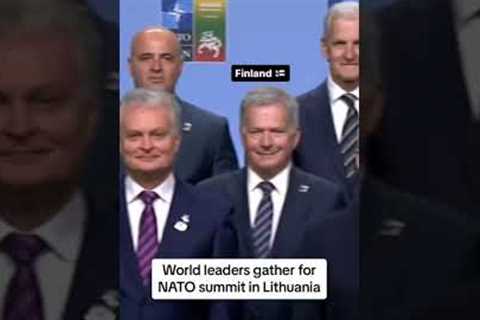 The countries represented at this week's NATO summit #shorts