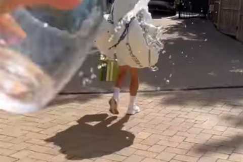 Jelena Djokovic throws glass of water at Novak as he heads off to Wimbledon final against Carlos..