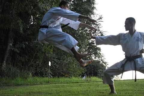 Is Goju-Ryu Karate Any Good? The Answer May Surprise You