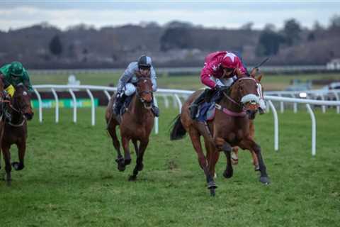 Handicap debutant backed into 11-1 from 28-1 at Wetherby on Sunday 📉