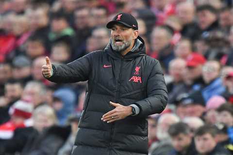 Liverpool boss Jurgen Klopp reveals huge fear that could leave Premier League clubs at mercy of..