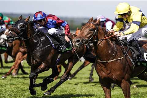 Goodwood Stewards’ Cup 2023 runner-by-runner guide and Templegate’s tip for bonkers 28-horse..