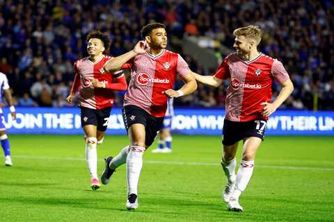 Sheff Weds 1 Southampton 2: Che Adams the hero as striker climbs off bench to bag winner in..