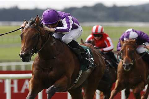 European champion horse Little Big Bear retired from racing aged three due to injury