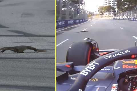 Footage captures moment giant lizard crashes Singapore GP practice as Max Verstappen swerves..
