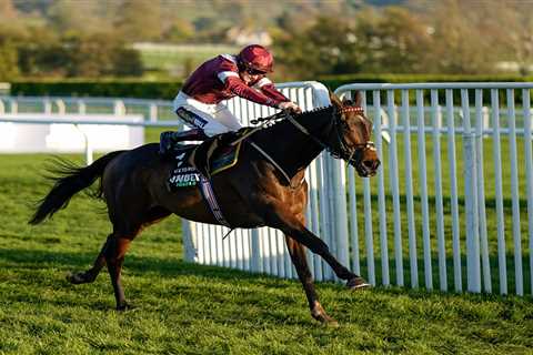 Devastated horseracing owners ‘in pieces’ after highly-rated I Like To Move It dies on chasing debut
