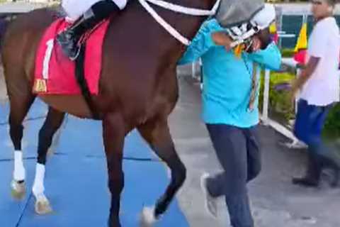 Tragic loss: Woman jockey dies after mid-race fall