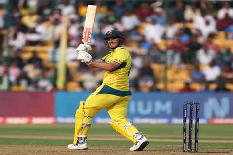 Siege mentality paying dividends as Pakistan pummelling puts Aussies back in World Cup contention