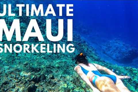 5 Best Maui Snorkeling Spots | Plus 2 Beginner, 4 Advanced, & More