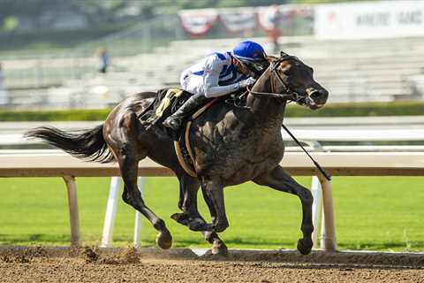 Breeders’ Cup rocked by second horse death as Geaux Rocket Ride passes away after ‘very rare’..