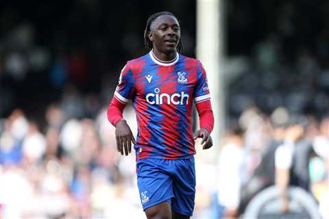 Roy Hodgson confirms Crystal Palace ‘optimistic’ star will sign new contract