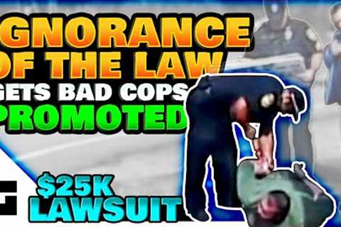 Brainless Cops Sued Without A Lawyer - $25K WIN!