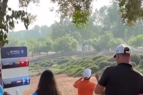 Golfer Joost Luiten Has Meltdown After Getting Clubs Stuck in Tree During Dubai Tournament