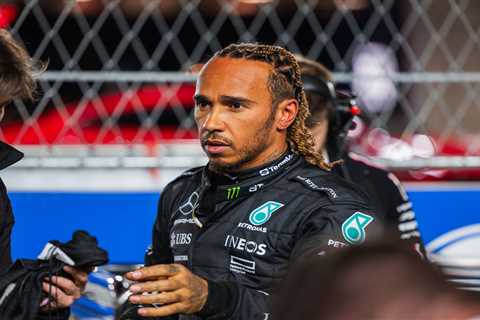 Lewis Hamilton's Replacement for Abu Dhabi Grand Prix Practice Named