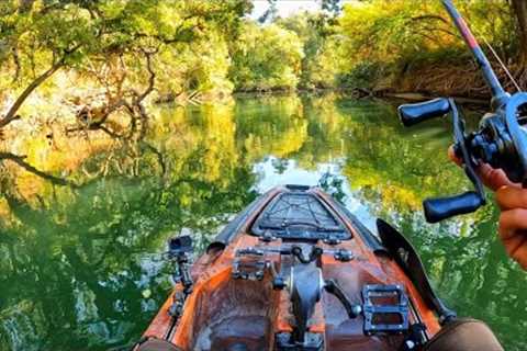 Fishing Trees in a Narrow River