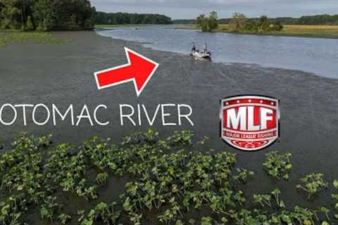 MILES AND MILES OF GRASS!! MLF Invitational Potomac River