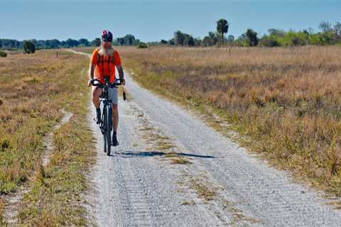 Discover the Picturesque Bike Trails of Palm Beach County, Florida