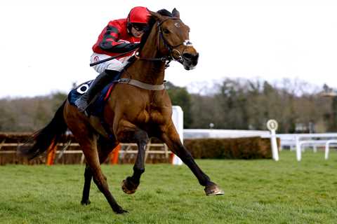 Templegate's Tote Placepot Picks for Coral Gold Cup Day at Newbury