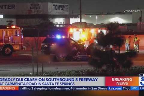 Teen arrested for suspected DUI crash that killed 2 passengers on 5 Freeway