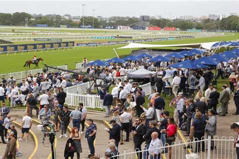 Iconic Racecourse to Be Transformed into Housing Estate, Sparking Outrage