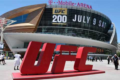 Dana White Promises Mind-Blowing Card for UFC 300