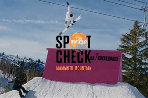 32 Spot Check Mammoth Mountain December 2023