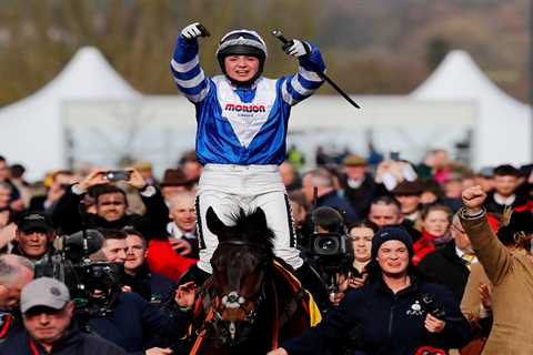 Legendary racehorse Frodon retires after incredible career