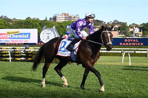 Chrysaor Leads 2024 Magic Millions 3YO Guineas Betting Markets