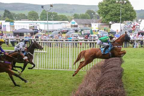 Raider alert: four Irish runners at Cartmel form Lucky 15 on Monday ☘️