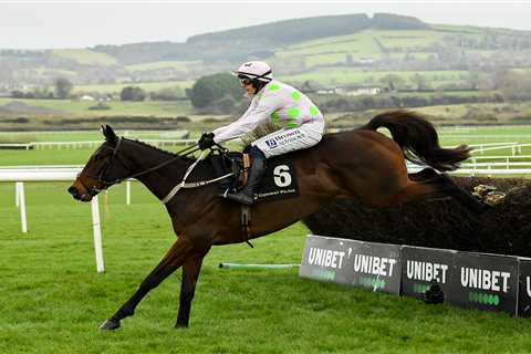 Beware the Willie Mullins Cheltenham Festival ‘banker’ who’s bound to let you down