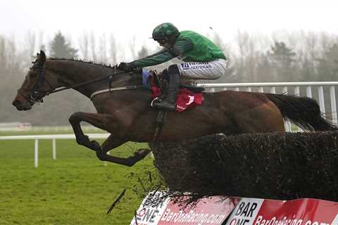 Willie Mullins' El Fabiolo Drifts in Clarence House Chase Market, Punters Fear Jonbon Walkover