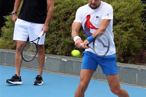 Novak Djokovic's Coach Goran Ivanisevic: Everything You Need to Know