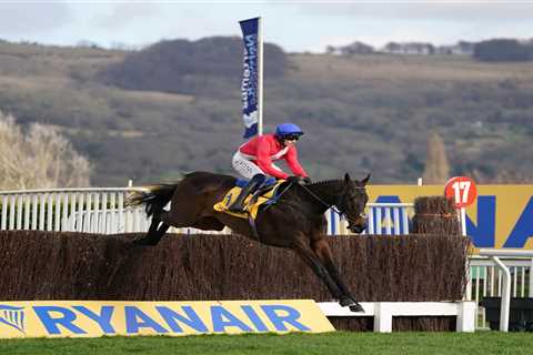 Hot Ryanair Chase favourite Allaho ruled OUT of Cheltenham Festival by trainer Willie Mullins in..