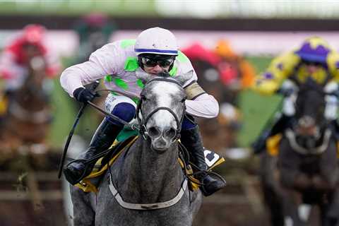 Calls for all bets to be VOIDED as BHA issue apology and launch probe after Willie Mullins horse is ..