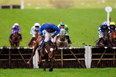 'Total Mayhem' at Chepstow Races as Trainer Witnesses 999-1 Finish