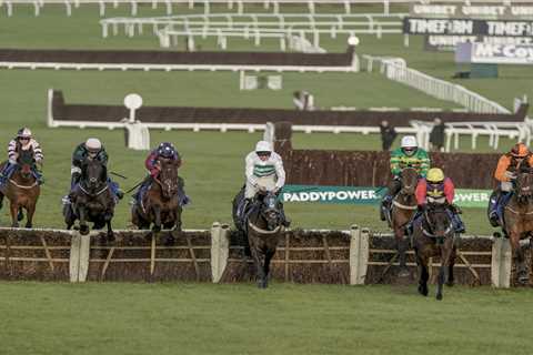 Solution Revealed: How to Help Paisley Park Win Another Stayers' Hurdle