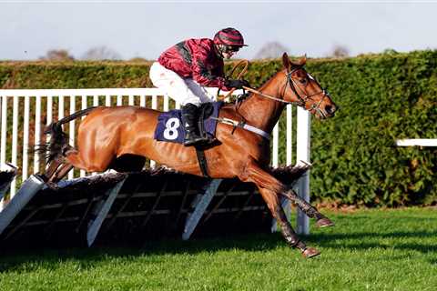 This 25-1 tip screams value for the Ultima at Cheltenham Festival – I think there’s improvement to..