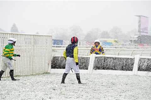 Iconic racecourse transformed into the 'St Moritz of Yorkshire' after snow storm