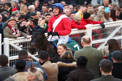 Awesome Wonderhorse Ferny Hollow Set for Cheltenham Festival Return After Four Years