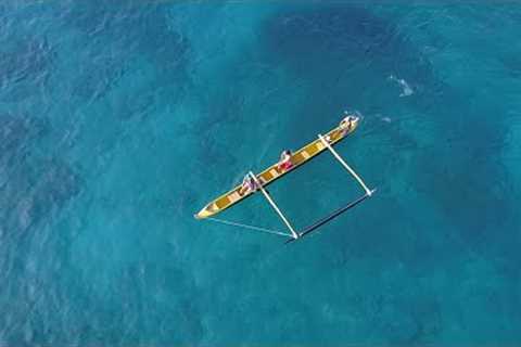 Discover Kealakekua''s Coastal Wonder | Kayak Tours, Canoe Rides, and Stand-up-Paddling #konatours