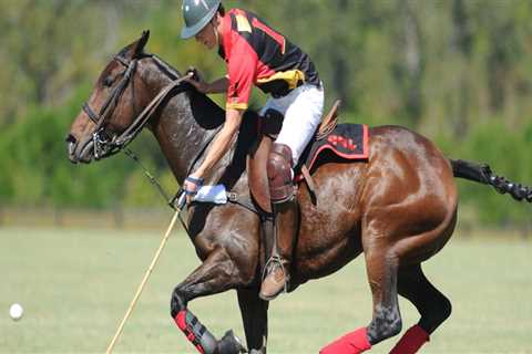 Volunteer Opportunities at Polo Sporting Events in Aiken, South Carolina